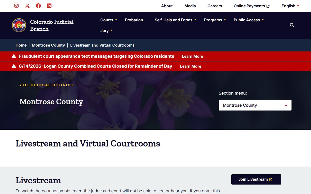 Montrose County court schedule virtual courtroom directory